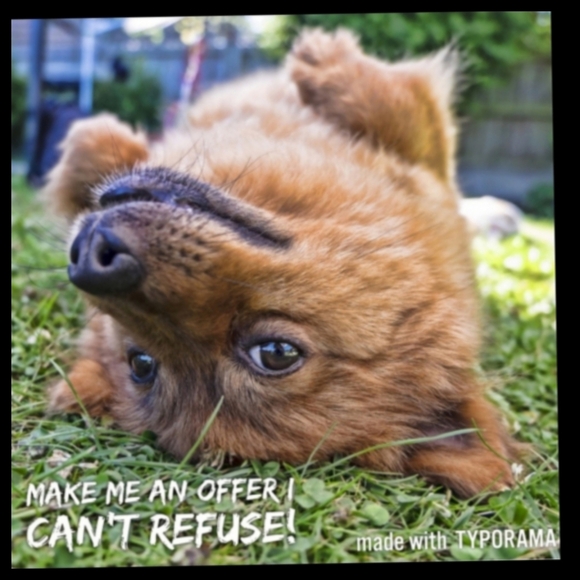 Neutral Check Print Linen Cotton Blend Gray White Peach Orange Top Size Large● - Picture 16 of 16